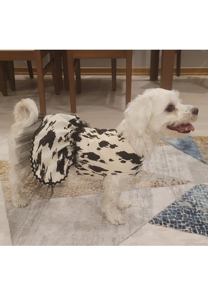 Siyah Beyaz Leopar Desenli Tüllü Kedi Köpek Kıyafeti Elbisesi fiyatları