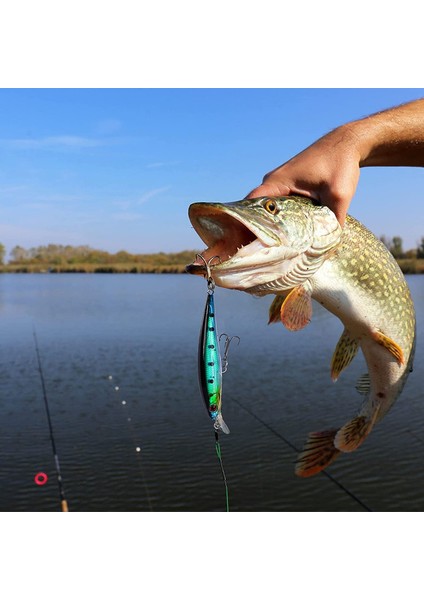 Balık Yapay Yem (Yurt Dışından) modelleri