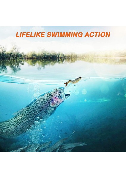 Balık Yapay Yem (Yurt Dışından) fırsatları