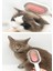 Kedi Köpek Tüy Saç Tımar Temizleme Fırçası Tarağı 4