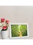 Decolıfe Çerçeve, Fotoğraf Çerçevesi, Anı Çerçevesi, Resim Çerçevesi, Çoklu Çerçeve Üçlü 13x18cm 6