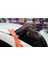 Honda Civic Fd6 Cam Üstü Spoiler (Plastik) 1