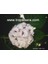 KOD:Y55 Arap Ful - Clerodendrum Fragrans (50-60 Cm) 1