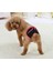 Adet Kullanımlık Fizyolojik Pantolon Sıhhi Külot Kadın Köpekler Küçük Orta ve Büyük Köpekler Için Hijyenik Bezi (Yurt Dışından) 1