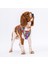 Puzzle Air-Mesh Göğüs Tasması Kedi Köpek Göğüs Tasması 2