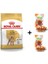 Poodle Adult Köpek Maması 3 kg + 2 Adet Wooc Ödül 80 gr 1
