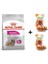 Mini Exigent Köpek Maması 3 kg + 2 Adet Wooc Ödül 80 gr 1
