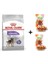 Mini Sterilised Kısır Köpek Maması 3 kg + 2 Adet Wooc Ödül 80 gr 1