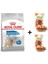 Light Weight Care Köpek Maması 3 kg + 2 Adet Wooc Ödül 80 gr 1