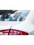 Sticker Master Altın Tasmalı Pitbull Motorsiklet, Kask,laptop ve Araç Sticker Çıkartma 11X15 cm 3