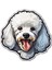Sticker Master Poodle Kaniş Motorsiklet, Kask , Laptop ve Araç Oto Sticker Etiket Çıkartma 15X15 cm 1