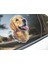 Sticker Master Golden Retriever Motorsiklet, Kask , Laptop ve Araç Oto Sticker Etiket 12X15 cm 3