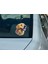 Sticker Master Golden Retriever Motorsiklet, Kask , Laptop ve Araç Oto Sticker Etiket 12X15 cm 4