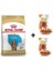 Cocker Junior Yavru Köpek Maması 3 kg + 2 Adet Wooc Ödül 80 gr 1
