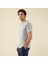 Albano Erkek T-shirt Gri 3