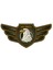 Air Forces Eagle Oto Sticker 1