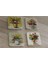 Vazoda Çiçekler Doğal Taş Bardak Altlığı 4'lü Set - Natural Stone Coasters 1