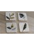 Altın Desenli Yapraklı Doğal Taş Bardak Altlığı 4'lü Set - Natural Stone Coasters 1