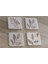 Pembe Desenli Yapraklar Doğal Taş Bardak Altlığı 4'lü Set - Natural Stone Coasters 1