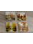 Sonbahar Manzarası Doğal Taş Bardak Altlığı 4'lü Set - Natural Stone Coasters 1