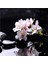 Spa Taşları ve Kiraz Çiçeği Doğal Taş Bardak Altlığı 4'lü Set - Natural Stone Coasters 4