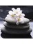 Spa Taşları ve Kiraz Çiçeği Doğal Taş Bardak Altlığı 4'lü Set - Natural Stone Coasters 5