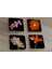 Siyah Zemin Orkide ve Gerbera Çiçekleri Doğal Taş Bardak Altlığı 4'lü Set - Natural Stone Coasters 1