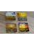Bahar Çiçekleri Doğal Taş Bardak Altlığı 4'lü Set - Natural Stone Coasters 1