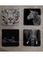 Siyah Beyaz Fil At Kaplan Zebra Doğal Taş Bardak Altlığı 4'lü Set - Natural Stone Coasters 2