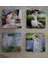 Monet ve Kadınlar Doğal Taş Bardak Altlığı 4'lü Set - Natural Stone Coasters 2