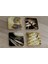 Gramofon Piano Ksilofon ve Notalar Doğal Taş Bardak Altlığı 4'lü Set - Natural Stone Coasters 1