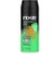 Erkek Sprey Deodorant Jungle Fresh 48 Saat Etkileyici Koku 150 ml 1