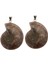 2 Parça Ammolit Salyangoz Conch Charm Kolye Dıy Kazak Zincir Kolye Için (Yurt Dışından) 1