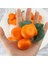 5 Adet Yapay Portakal Simülasyon Meyve Seti Dekorasyon Için Plastik Gerçekçi Meyve Turuncu (Yurt Dışından) 5