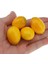 27 Mini Yapay Plastik Limon Süsleri Sadece Limonlar (Yurt Dışından) 4
