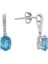 Pırlanta ve Oval Mavi Topaz Taşlı Küpe 0417E0010 1