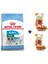Mini Puppy Yavru Köpek Maması 4 kg + 2 Adet Wooc Ödül 80 gr 1