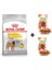 Medium Dermacomfort Yetişkin Köpek Maması 12 kg + 2 Adet Wooc Ödül 80 gr 1
