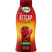 Pınar Ketçap Acılı 600 G