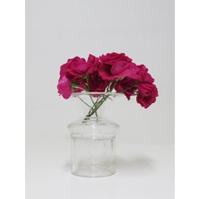 Missi Clear Ayaklı Cam Vazo