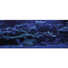 Kanki Pet KP1556525 Akvaryum Arka Fon Yapıştırma