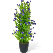 Nettenevime Yapay Çiçek Siyah Saksıda Mor Mineli Şimşir Ağacı 55CM