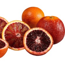 Fidan Paketim Red Blod Portakal Ağacı