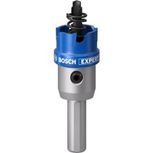 Bosch Expert Tct Elmas Uçlu Panç 22 mm