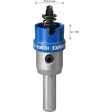 Bosch Expert Tct Elmas Uçlu Panç 22 mm