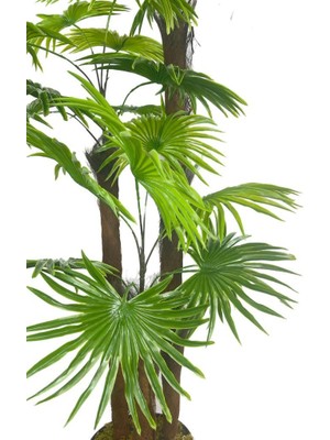 Netten Evime Yapay Ağaç Palmiye Fanpalm 3katlı 24YAPRAK 130*65CM