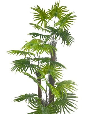 Netten Evime Yapay Ağaç Palmiye Fanpalm 3katlı 24YAPRAK 130*65CM