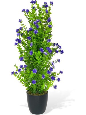Nettenevime Yapay Çiçek Siyah Saksıda Mor Mineli Şimşir Ağacı 55CM