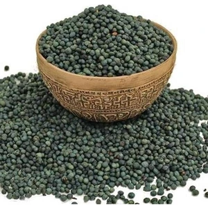 Menengiç Tohumu Kavrulmamış 500 G ℮