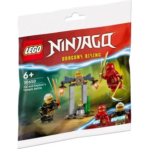 Ninjago 30650 Kai And Rapton's Temple Battle